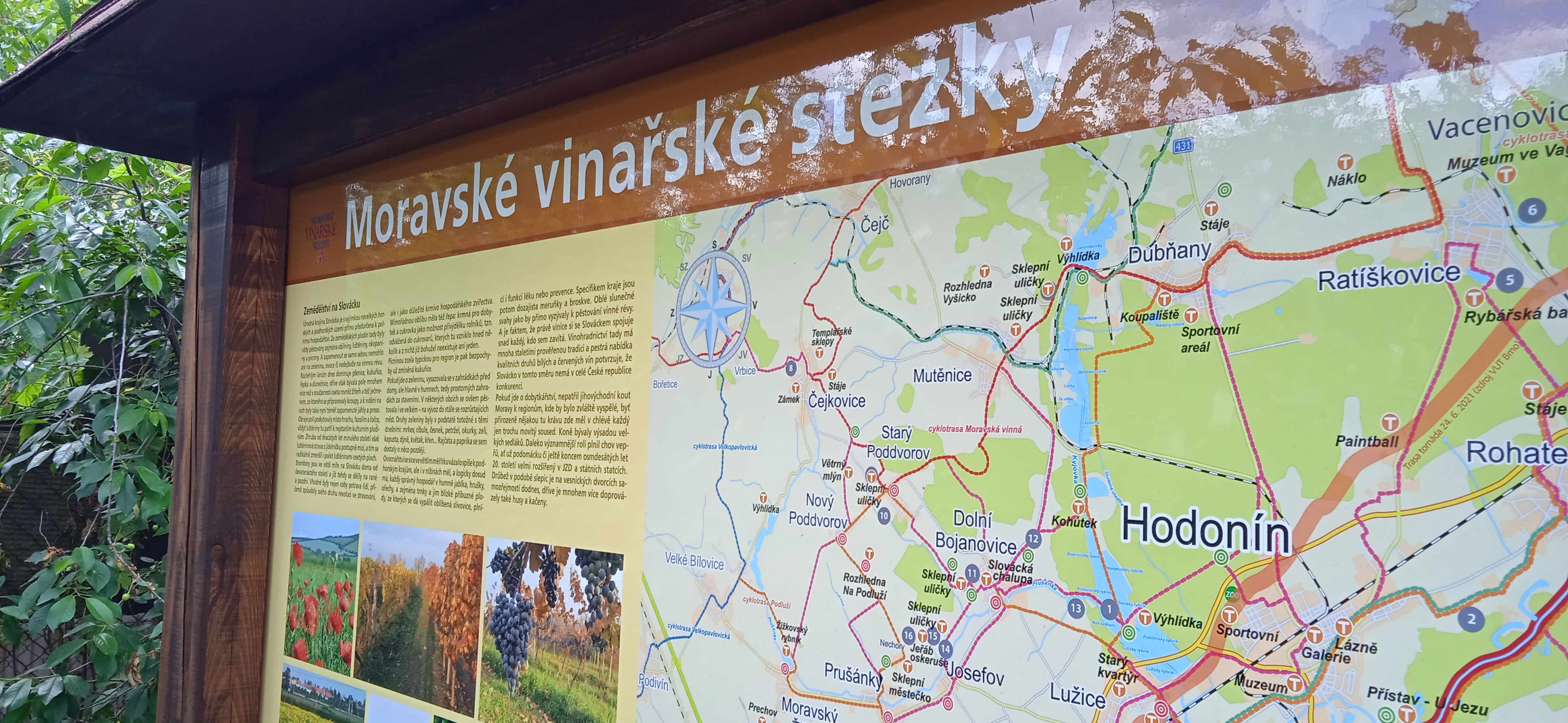 Prezentace Moravských vinařských stezek a vinařské oblasti v Mikroregionu Hodonínsko