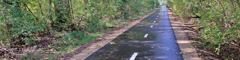 Cyklostezka Dolní Bojanovice - napojení rybníky, směr Hodonín